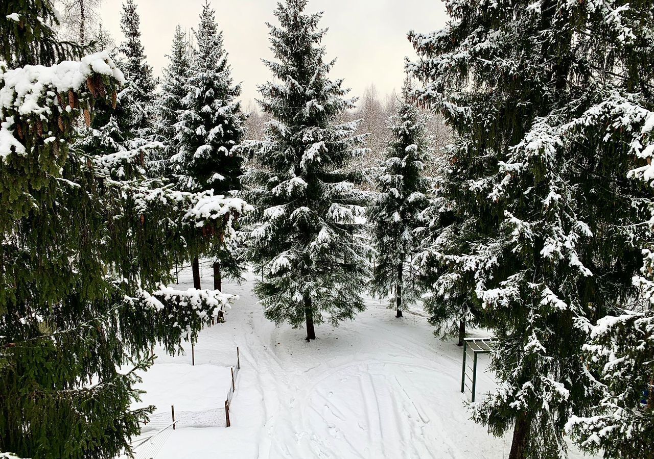 дом городской округ Дмитровский д Лупаново 31 км, Хрустальная ул., 75, Икша, Рогачёвское шоссе фото 17