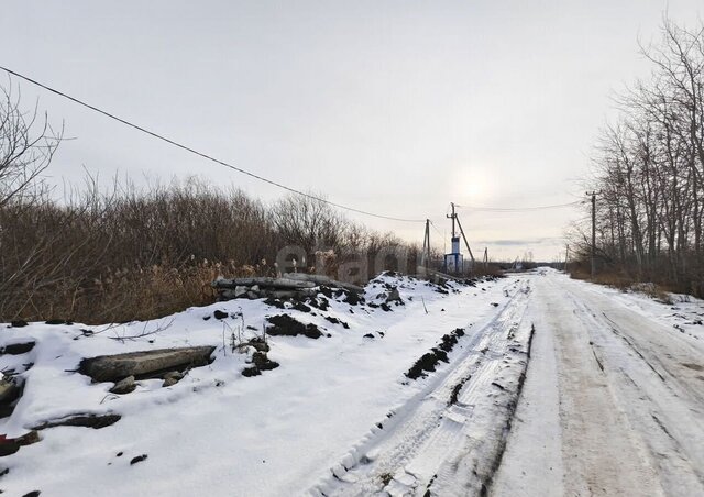 р-н Центральный общество Дубок, садовое фото