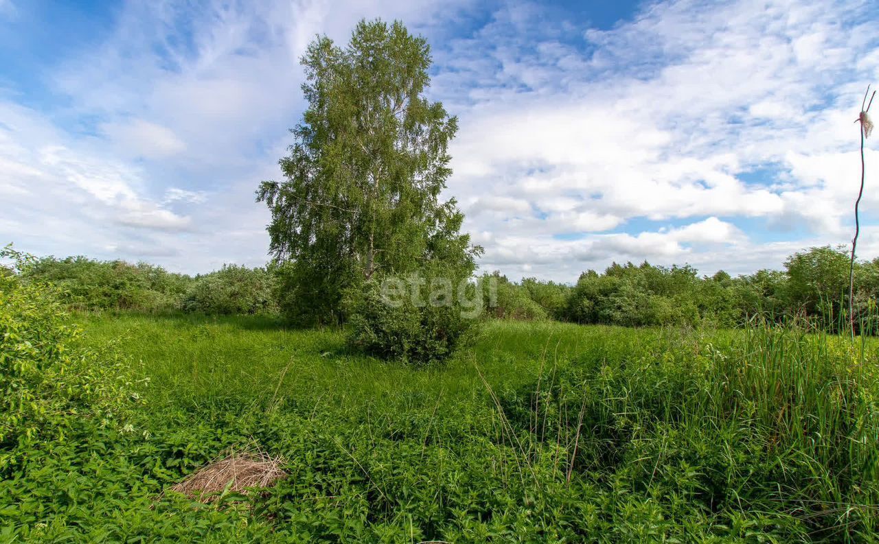 земля р-н Тюменский снт Черемушки Винзили фото 4