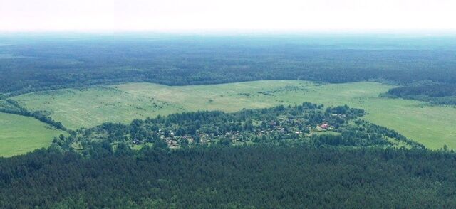 д Алексино фото