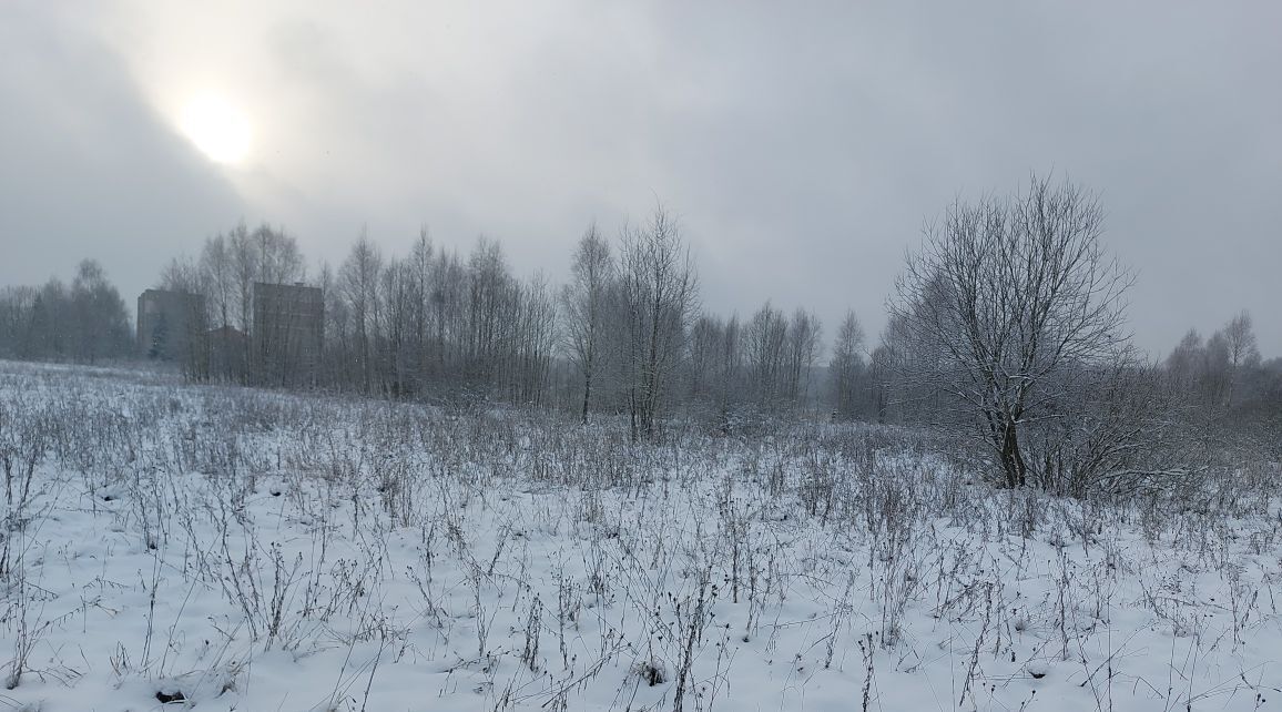 офис городской округ Наро-Фоминский п Новая Ольховка фото 1