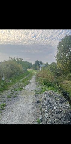 г Петергоф р-н Петродворцовый коллективное огородничество Вега фото