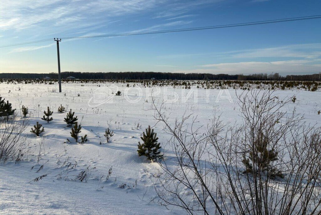 земля р-н Тюменский с Кулига р-н мкр Кулига-2 фото 1