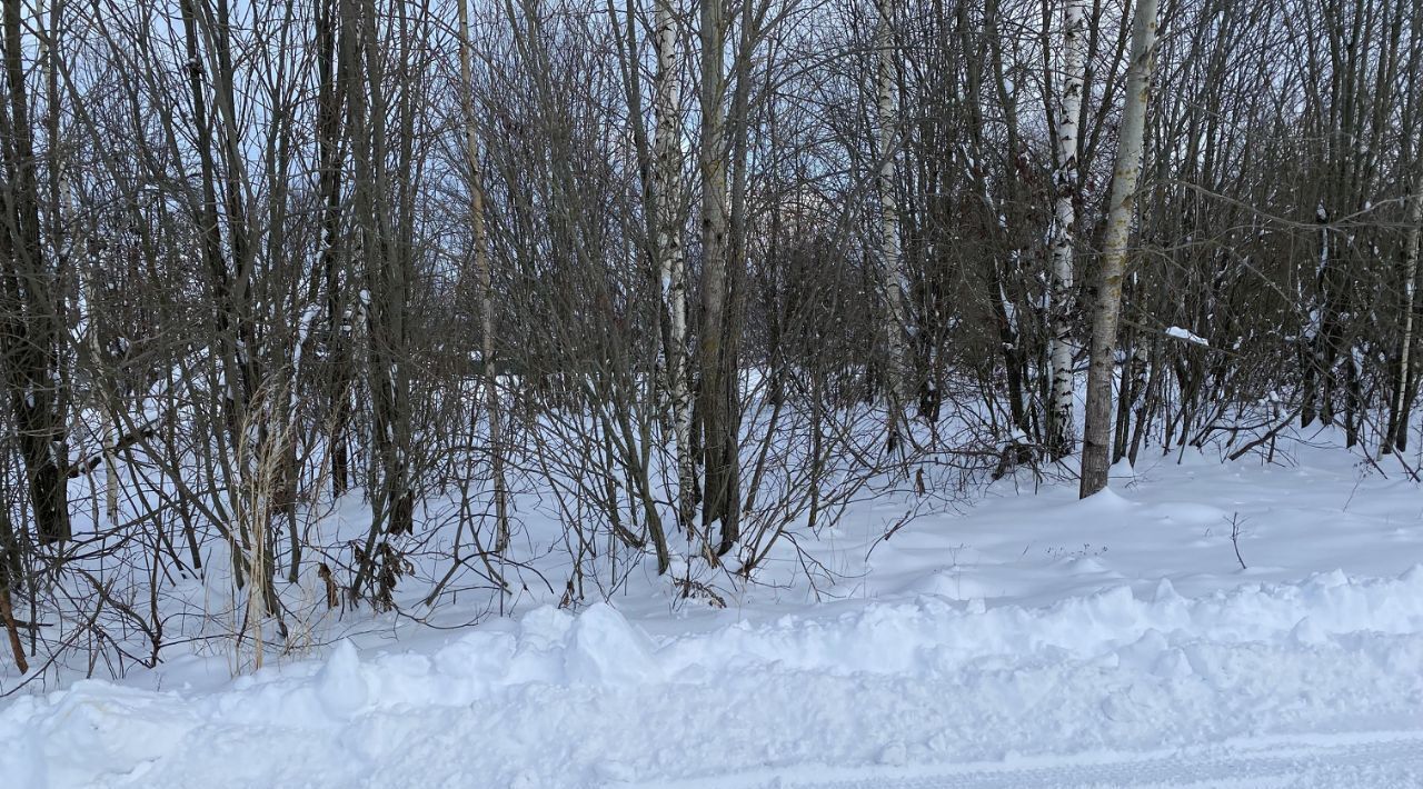 офис городской округ Клин с Борщево фото 1