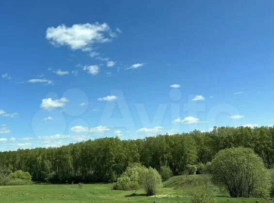 метро Охотный Ряд муниципальный округ Тверской фото