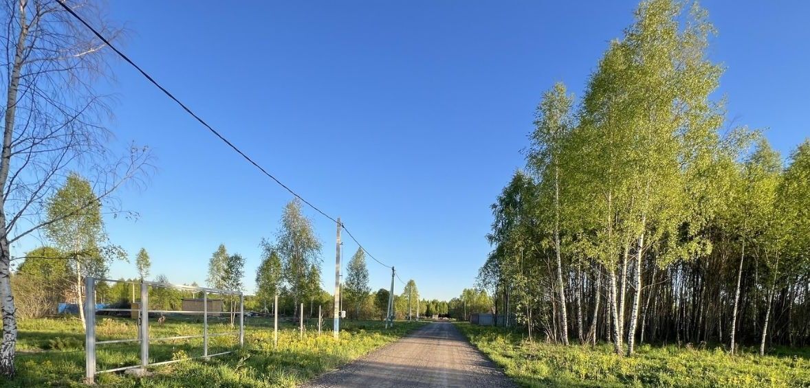 земля городской округ Чехов д Филипповское фото 12