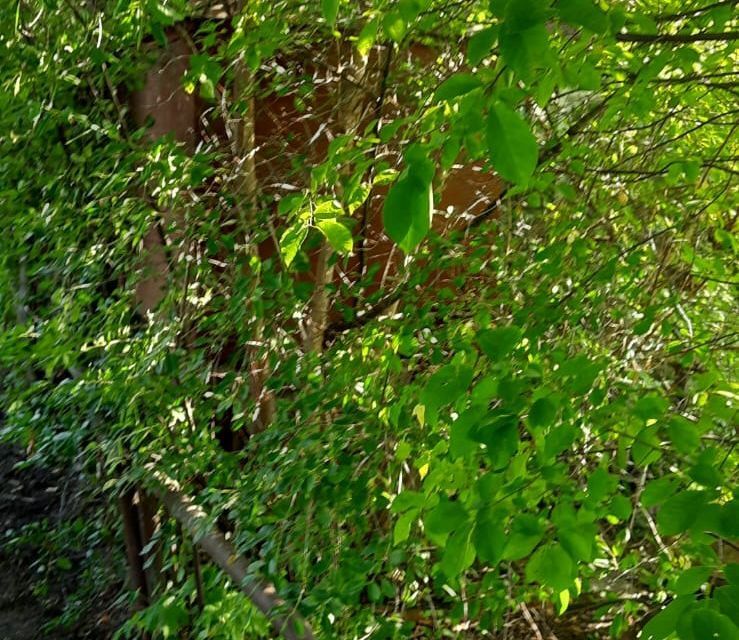 земля р-н Наровчатский с Садовое городской округ Пенза, некоммерческое товарищество Восход-1, 17 фото 4