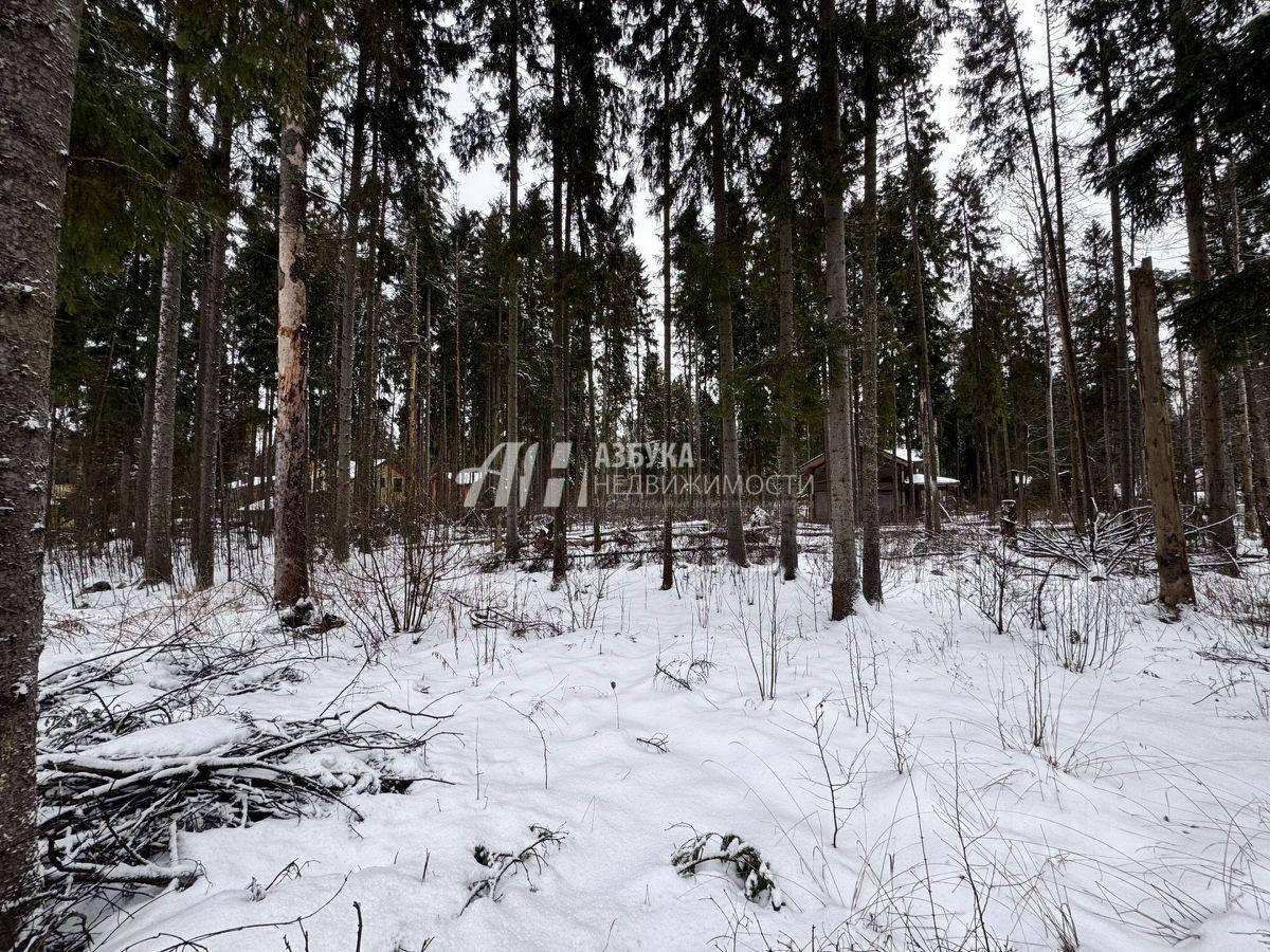 земля городской округ Пушкинский д Могильцы р-н мкр Пушкинский лес ул. Лесная фото 1