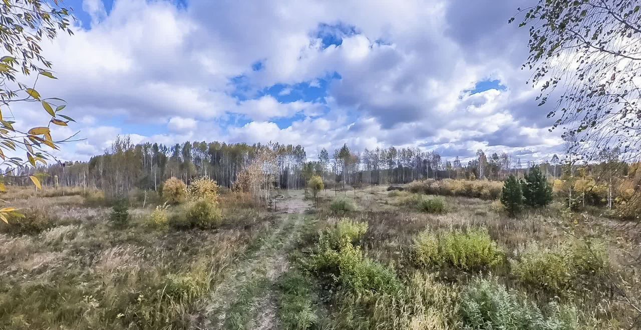 земля р-н Нижнетавдинский снт Сундукуль Тюмень фото 11