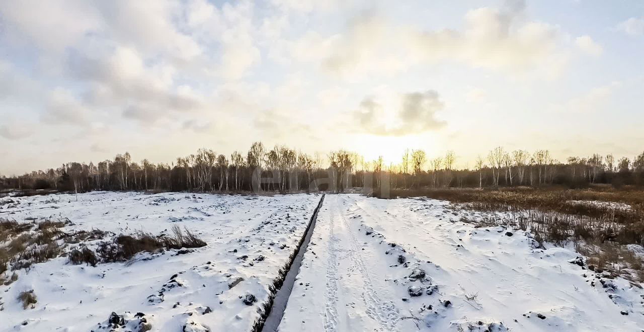 земля р-н Нижнетавдинский с Средние Тарманы Тюмень фото 18