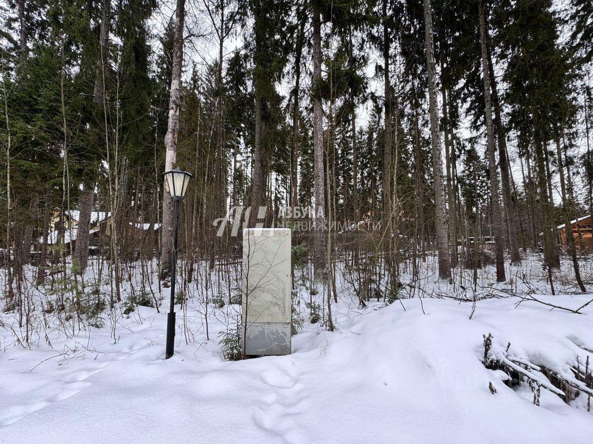 земля городской округ Пушкинский д Могильцы р-н мкр Пушкинский лес ул. Лесная фото 6