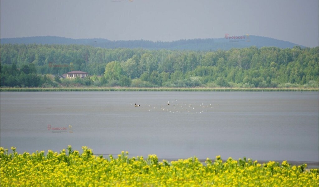 земля р-н Сысертский с Абрамово фото 2