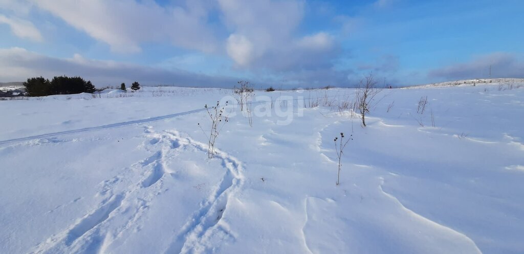 земля г Нижний Тагил с Елизаветинское фото 4