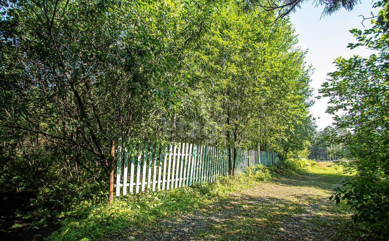 земля р-н Новосибирский снт Вера Барышевский сельсовет, Новосибирск фото 2