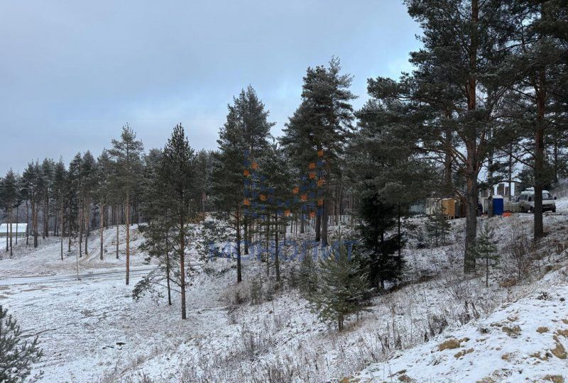 земля городской округ Одинцовский д Большое Сареево 13 км, Красногорск, Рублёво-Успенское шоссе фото 1