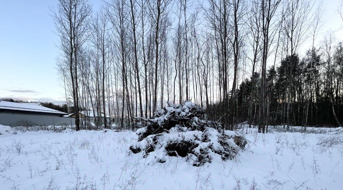 земля городской округ Богородский г Ногинск фото 1