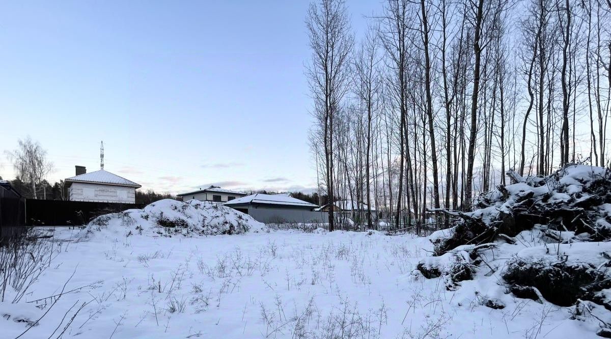 земля городской округ Богородский г Ногинск фото 3