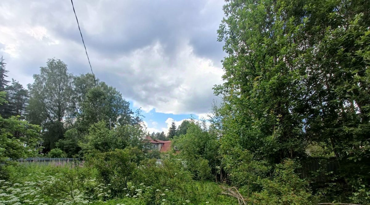 земля р-н Гатчинский Вырица городской поселок, ул. Коняшина фото 5