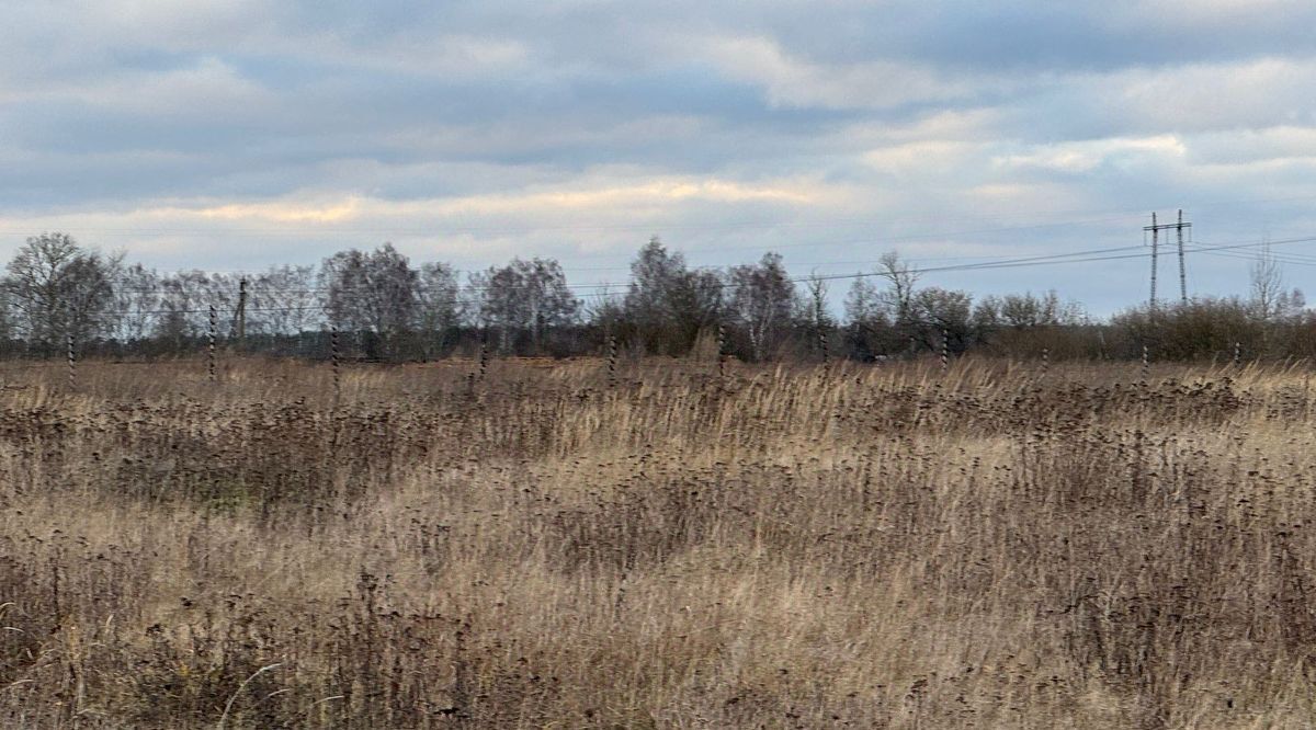 офис городской округ Богородский д Зубцово фото 1