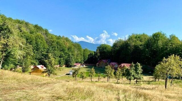 с Медовеевка ул. Медовеевская фото