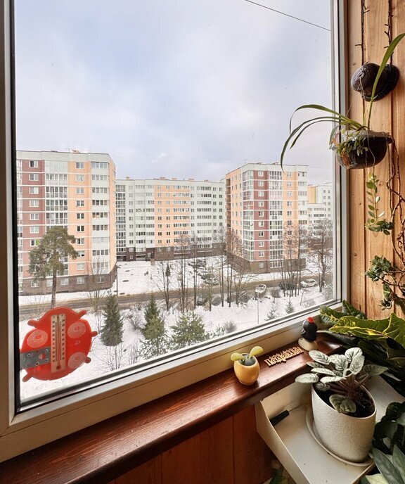 квартира г Сестрорецк ш Приморское 261к/2 Беговая фото 4