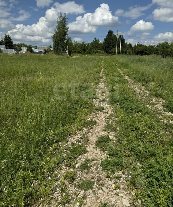 земля городской округ Тула, деревня Барсуки фото 5