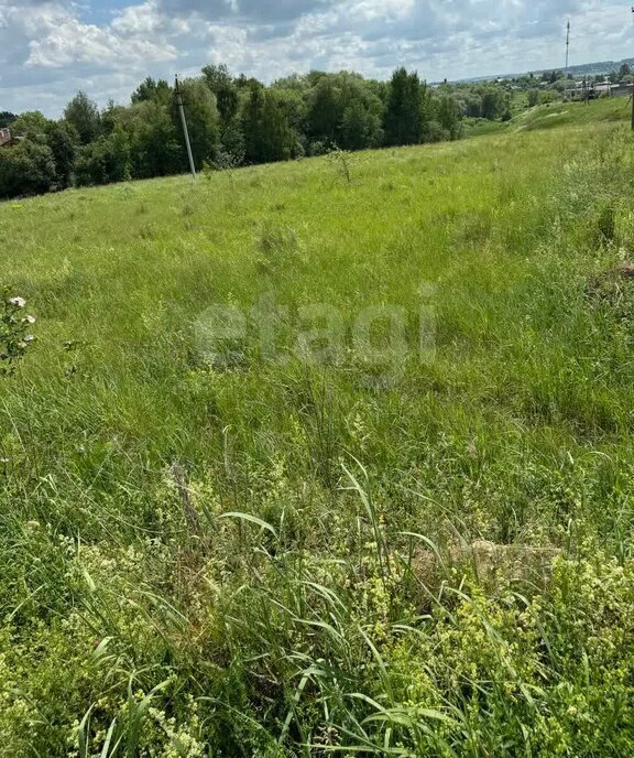 земля городской округ Тула, деревня Барсуки фото 11