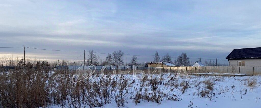 земля г Тюмень р-н Центральный снт Большое Царево-1 ТСН фото 4