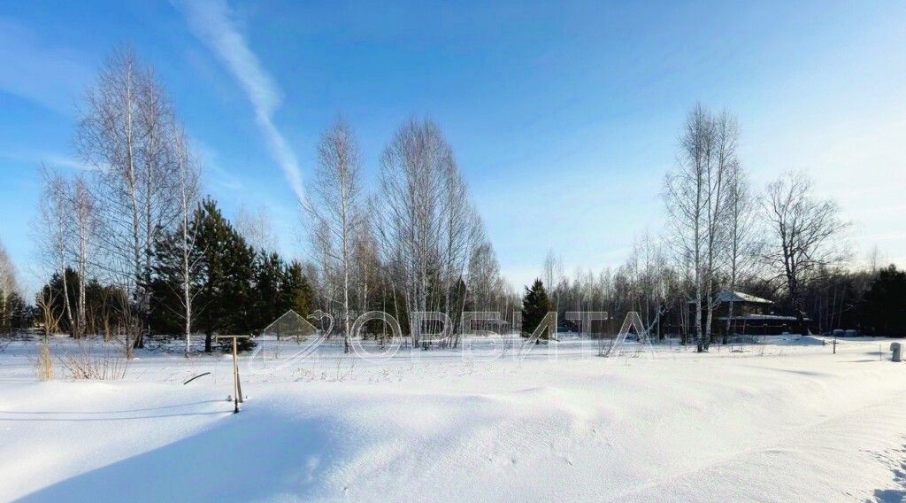 земля р-н Тюменский с Перевалово ул 2-я Береговая Переваловское сельское поселение фото 3