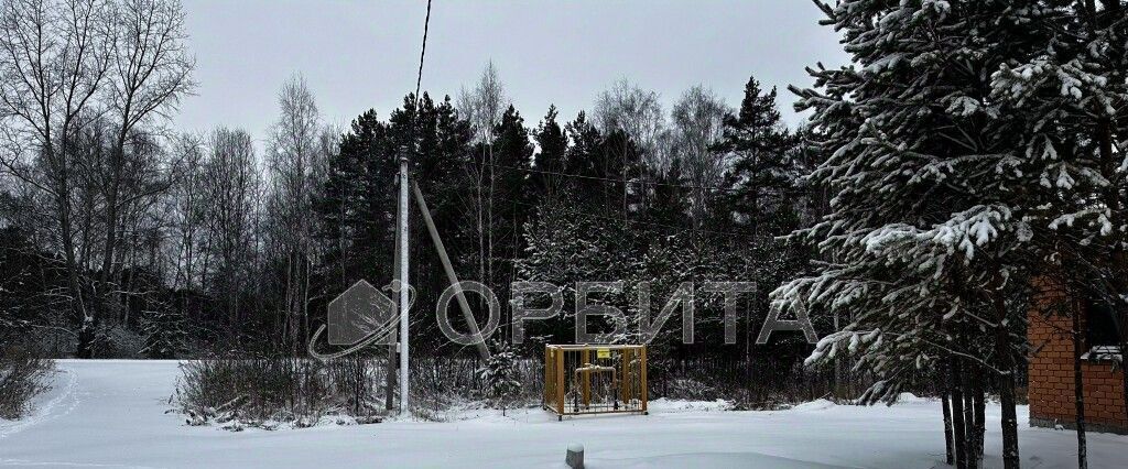 дом р-н Тюменский д Головина ул Надежды Онохинское сельское поселение фото 4