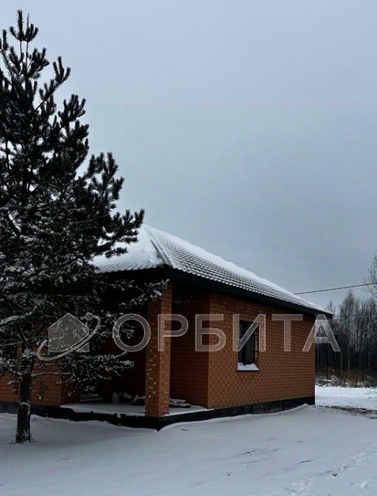 дом р-н Тюменский д Головина ул Надежды Онохинское сельское поселение фото 15