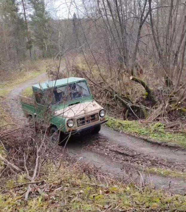 земля г Нижняя Тура д Большая Именная ул Зеленая 24 Нижнетуринский городской округ фото 2