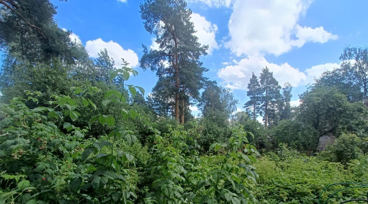 дом р-н Гатчинский Вырица городской поселок, ул. Лужская фото 12