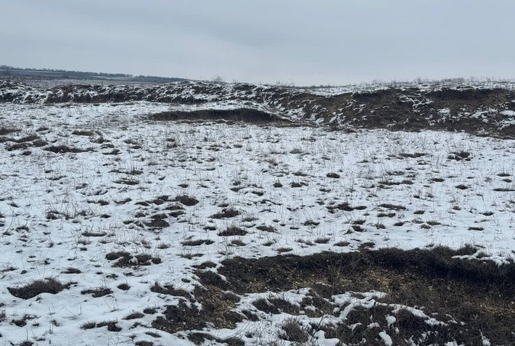 земля р-н Симферопольский с Урожайное ул Таврическая фото 9