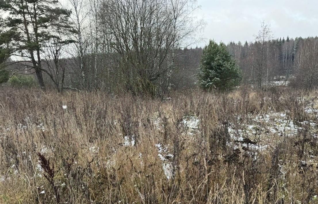 офис городской округ Богородский д Соколово ул Кооперативная фото 1