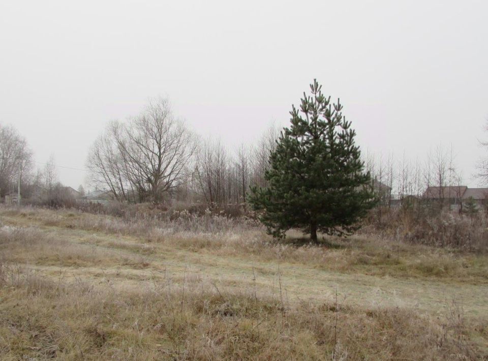 офис городской округ Коломенский с Нижнее Хорошово Коломна городской округ фото 1