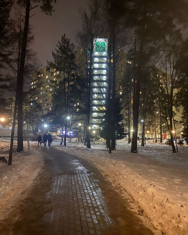 квартира городской округ Пушкинский п Зеленоградский снт Зеленоградский ул. Зелёный Город, 4, Правдинский фото 1