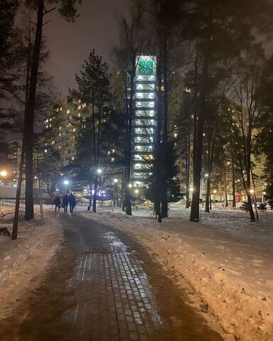 п Зеленоградский снт Зеленоградский ул. Зелёный Город, 4, Правдинский фото