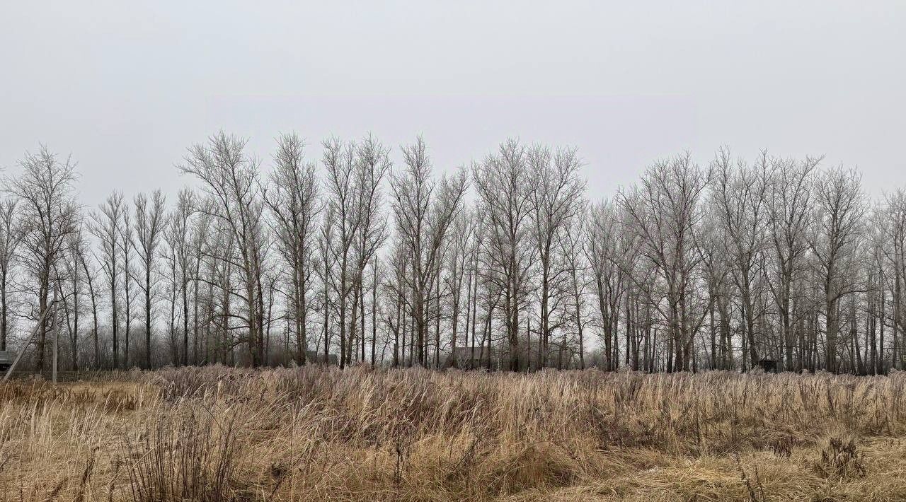 офис городской округ Кашира д Тарасково фото 2