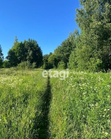 Приозерское шоссе, 16 км, Агалатовское сельское поселение фото