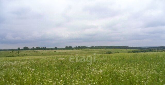 п Бабынино сельское поселение Посёлок Бабынино фото