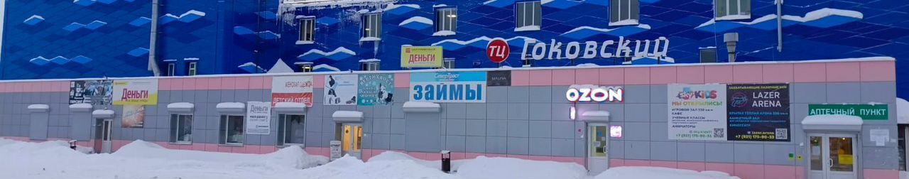 торговое помещение г Оленегорск ул Строительная 47 фото 1