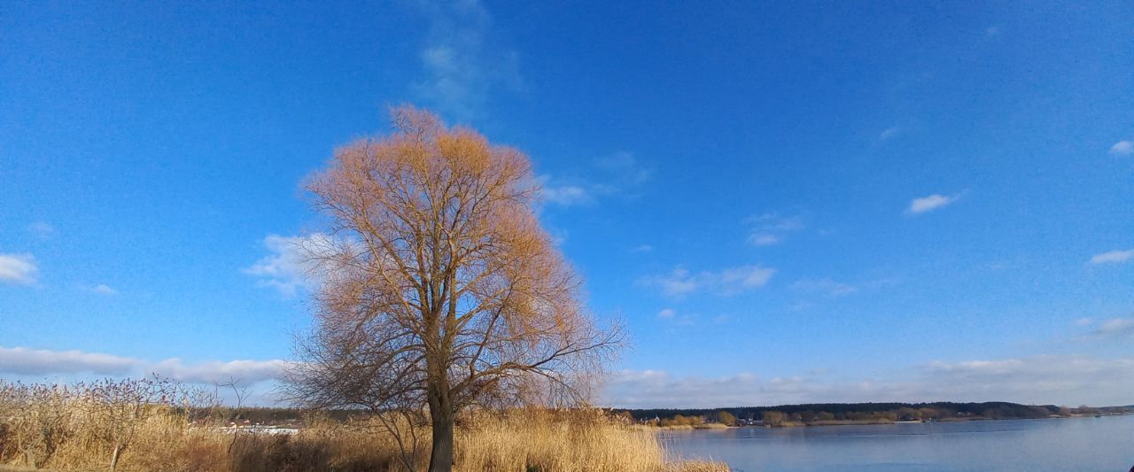 дом р-н Белгородский с Карнауховка ул Речная Крутологское с/пос фото 3