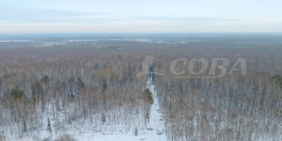 земля р-н Нижнетавдинский с Тюнево ул Мира Тюмень фото 3