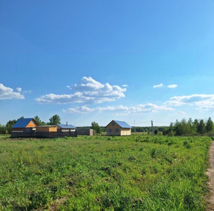 земля р-н Городецкий с Зарубино ул Комсомольская 11 фото 2