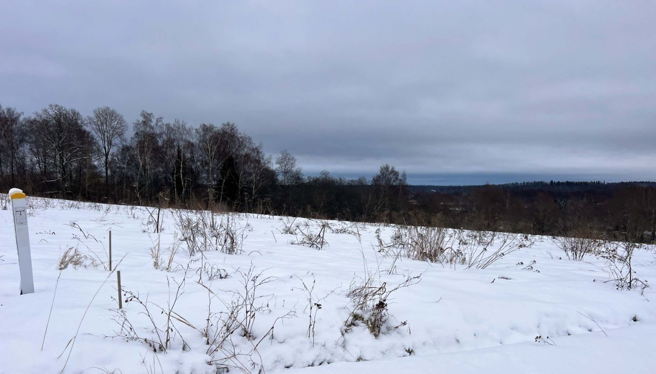 земля городской округ Истра д Бужарово 40 км, Истра, Волоколамское шоссе фото 16