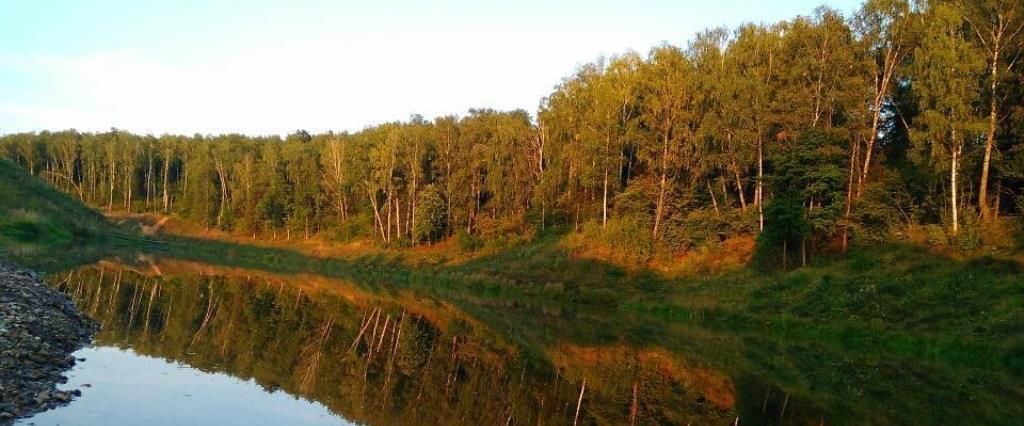 земля городской округ Одинцовский д Большое Сареево ГП-2 тер., Одинцово фото 16