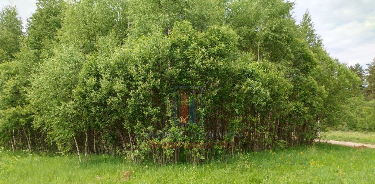 земля р-н Заокский рп Заокский ул Осенняя городское поселение Заокский фото 5