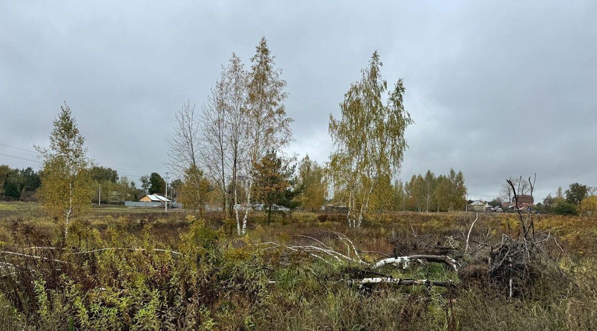 офис городской округ Богородский п Обухово Ленинская тер фото 1