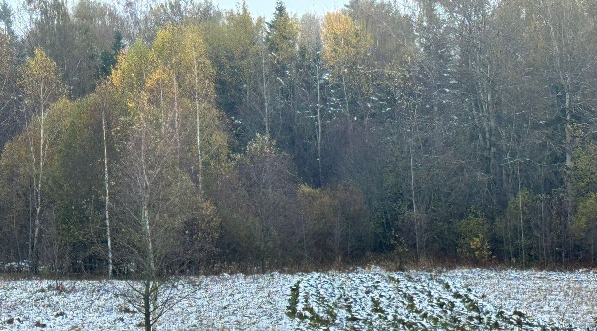 офис городской округ Солнечногорск д Мерзлово фото 2